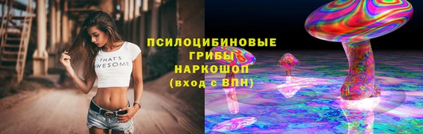 ешки Белокуриха