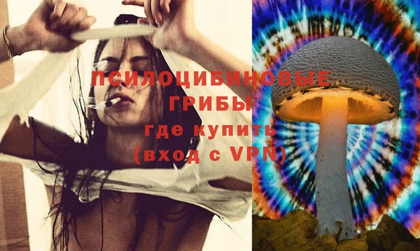 таблы Гусев