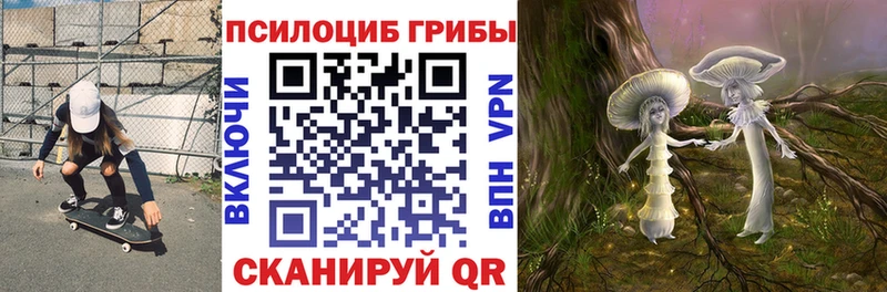 Псилоцибиновые грибы GOLDEN TEACHER  Окуловка 